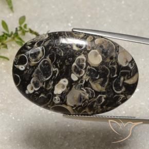 Jaspe Multicolore naturelle ovale, 40.51 ct, Opaque