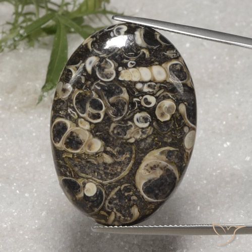 36.40ct Naturel Multicolore Jaspe, ovale, Opaque