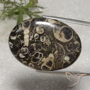 Jaspe Multicolore naturelle ovale, 36.40 ct, Opaque