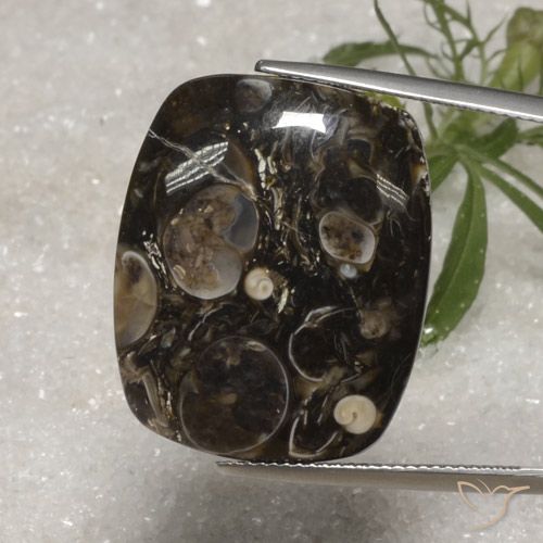 23.10ct Naturel Multicolore Jaspe, Coussin, Opaque, Photo A