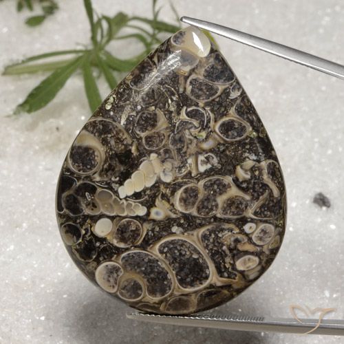62.18ct Naturel Multicolore Jaspe, En forme de poire, Opaque