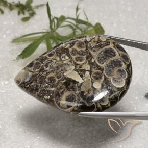 Jaspe Multicolore naturelle En forme de poire, 62.18 ct, Opaque