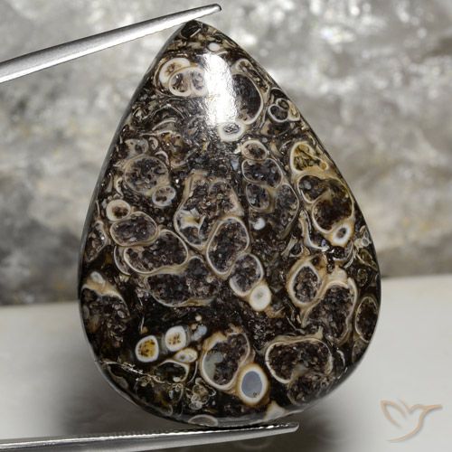 50.43ct Naturel Multicolore Jaspe, En forme de poire, Opaque