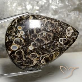 Jaspe Multicolore naturelle En forme de poire, 50.43 ct, Opaque