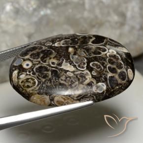 Jaspe Multicolore naturelle ovale, 44.14 ct, Opaque