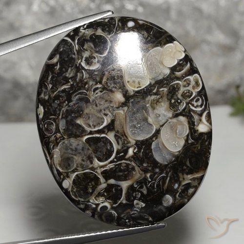 37.36ct Naturel Multicolore Jaspe, ovale, Opaque