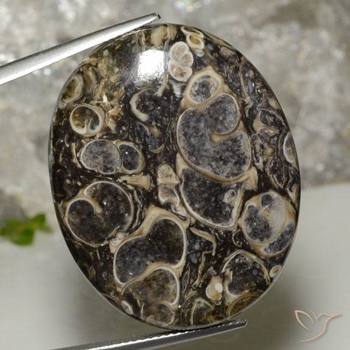 37.90ct Naturel Multicolore Jaspe, ovale, Opaque