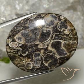 Jaspe Multicolore naturelle ovale, 37.90 ct, Opaque