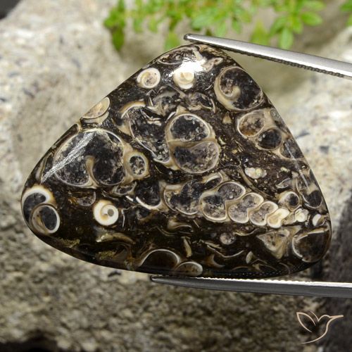 41.13ct Naturel Multicolore Jaspe, Trillion, Opaque
