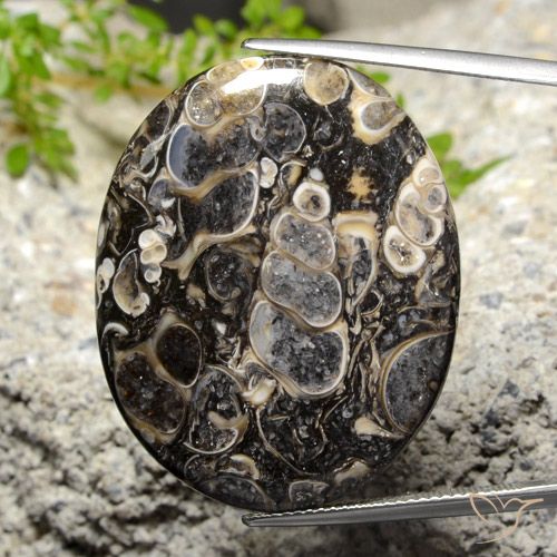 34.14ct Naturel Multicolore Jaspe, ovale, Opaque