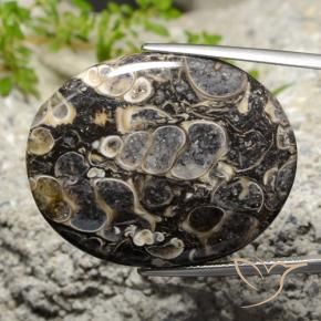 Jaspe Multicolore naturelle ovale, 34.14 ct, Opaque