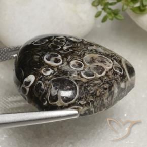 Jaspe Multicolore naturelle En forme de poire, 35.93 ct, Opaque
