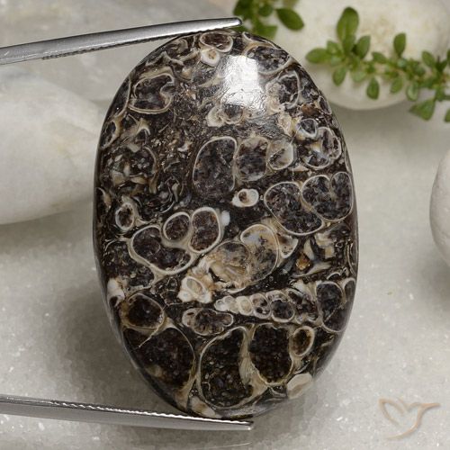 50.37ct Naturel Multicolore Jaspe, ovale, Opaque