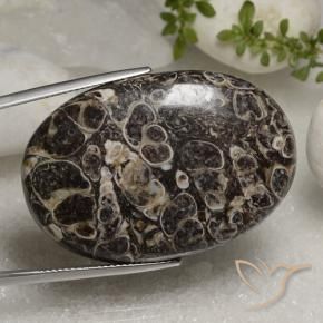 Jaspe Multicolore naturelle ovale, 50.37 ct, Opaque