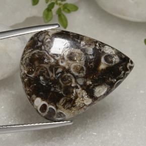 Jaspe Multicolore naturelle En forme de poire, 22.56 ct, Opaque