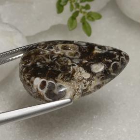 Jaspe Multicolore naturelle En forme de poire, 22.56 ct, Opaque