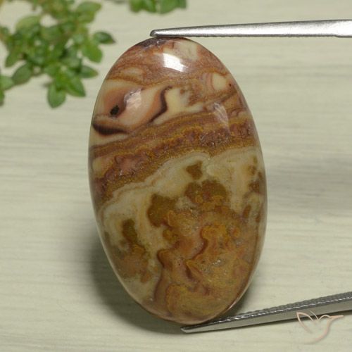 23.47ct Naturel Multicolore Jaspe, ovale, Opaque