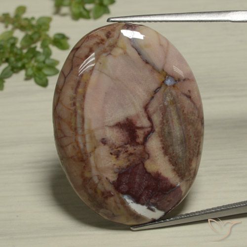 26.89ct Naturel Multicolore Jaspe, ovale, Opaque