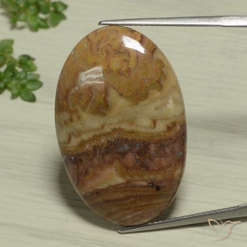 25.93ct Naturel Multicolore Jaspe, ovale, Opaque