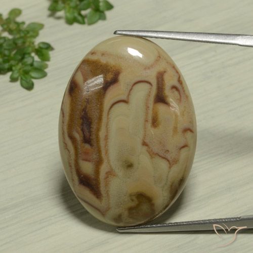 22.89ct Naturel Multicolore Jaspe, ovale, Opaque