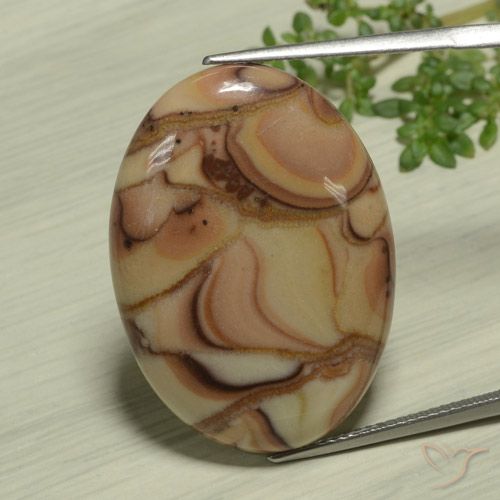 25.36ct Naturel Multicolore Jaspe, ovale, Opaque