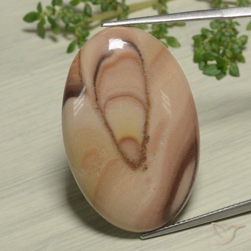 23.72ct Naturel Multicolore Jaspe, ovale, Opaque
