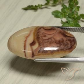 Jaspe Multicolore naturelle ovale, 24.59 ct, Opaque