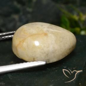 Jaspe Multicolore naturelle En forme de poire, 8.73 ct, Opaque