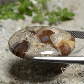 Jaspe Multicolore naturelle ovale, 29.47 ct, Opaque