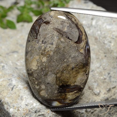 42.92ct Naturel Multicolore Jaspe, ovale, Opaque