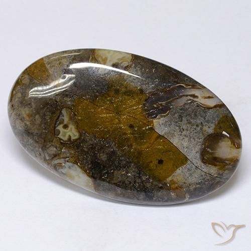 Jaspe Multicolore naturelle ovale, 48.91 ct, Opaque