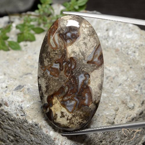 46.44ct Naturel Multicolore Jaspe, ovale, Opaque