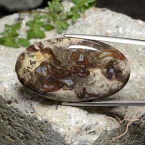 Jaspe Multicolore naturelle ovale, 46.44 ct, Opaque
