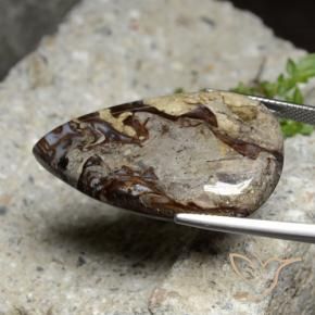 Jaspe Multicolore naturelle En forme de poire, 37.59 ct, Opaque