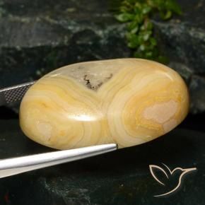 Jaspe Multicolore naturelle ovale, 59.42 ct, Opaque