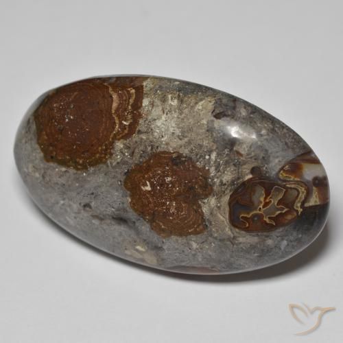 Jaspe Multicolore naturelle ovale, 46.26 ct, Opaque