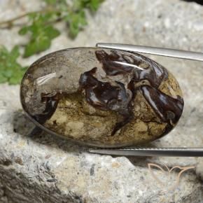Jaspe Multicolore naturelle ovale, 40.84 ct, Opaque