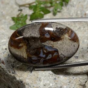 Jaspe Multicolore naturelle Coupe ovale, 39.19 ct, Opaque