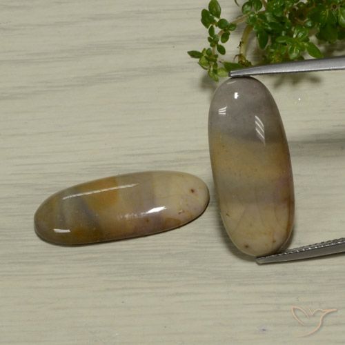17.37ctw Naturel Multicolore Jaspe, ovale, Opaque