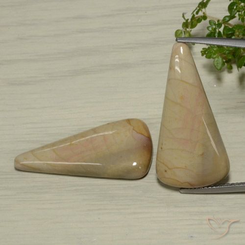 28.03ctw Naturel Multicolore Jaspe, Trillion, Opaque