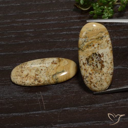 38.86ctw Naturel Multicolore Jaspe, ovale, Opaque