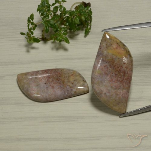 28.77ctw Naturel Multicolore Jaspe, Fantaisie, Opaque