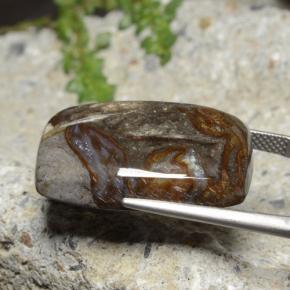 Jaspe Multicolore naturelle Coupe coussin, 25.44 ct, Opaque