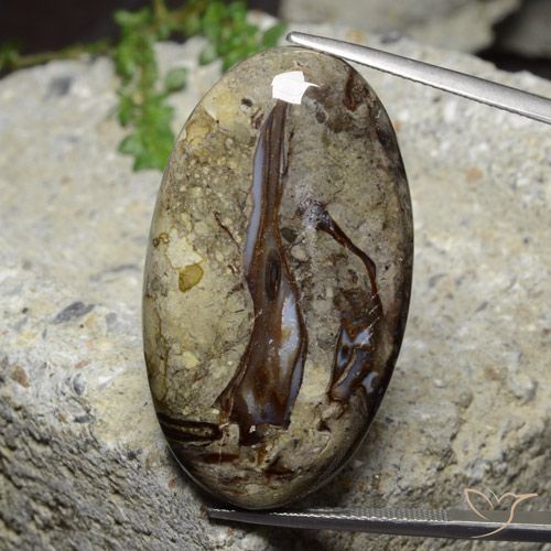 46.39ct Naturel Multicolore Jaspe, ovale, Opaque