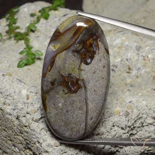 46.39ct Naturel Multicolore Jaspe, ovale, Opaque
