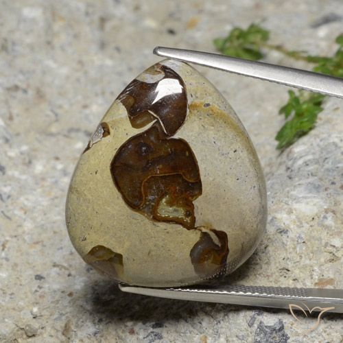 22.24ct Naturel Multicolore Jaspe, En forme de poire, Opaque