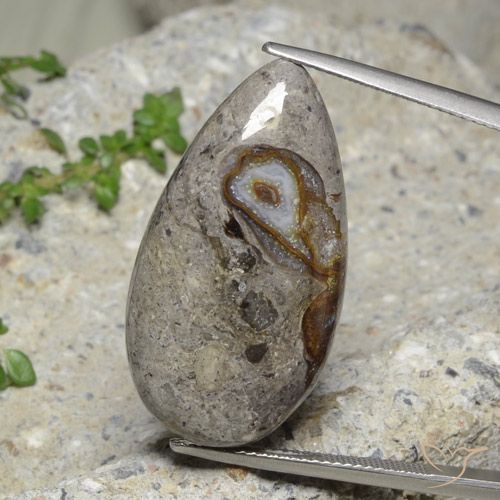 23.89ct Naturel Multicolore Jaspe, En forme de poire, Opaque, Photo A