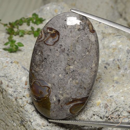 60.74ct Naturel Multicolore Jaspe, ovale, Opaque