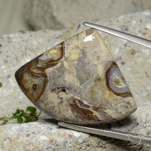 28.71ct Naturel Multicolore Jaspe, Trillion, Opaque