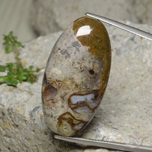 30.95ct Naturel Multicolore Jaspe, ovale, Opaque